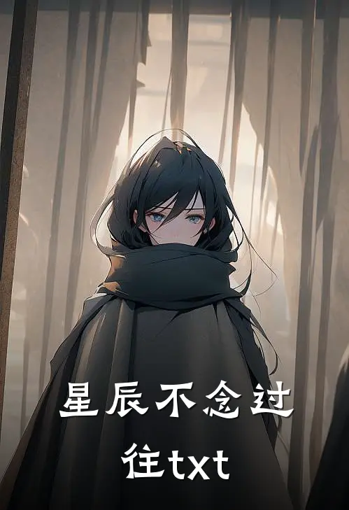 星辰不念过往txt