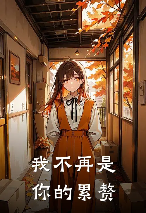 我不再是你的累赘