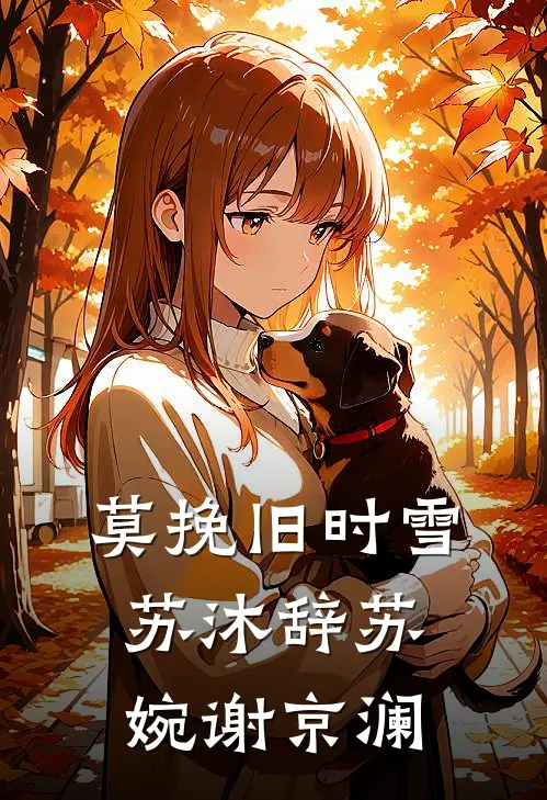 莫挽旧时雪苏沐辞苏婉谢京澜